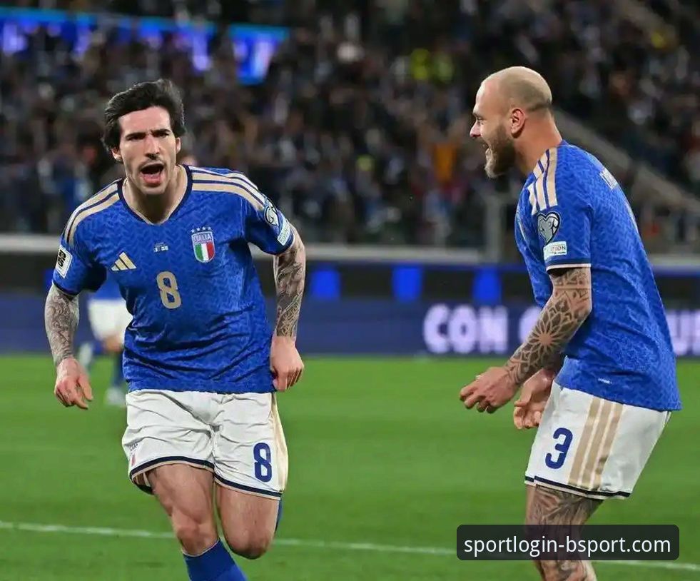 意大利连续三届无缘世界杯深层剖析——bsport体育平台深度解读波黑点球爆冷